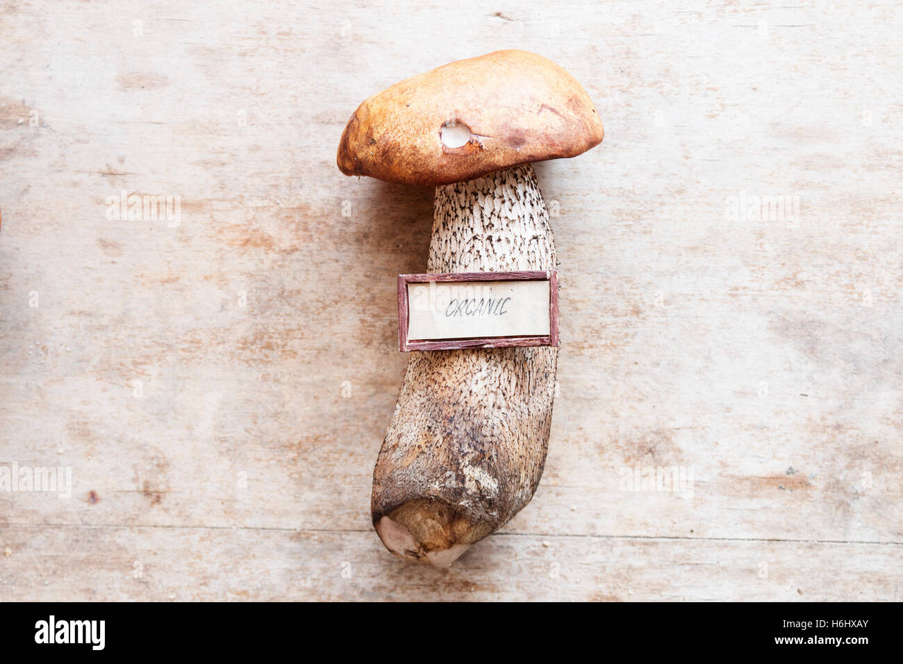 Alimenti biologici idea di funghi selvatici sul vecchio tavolo. Foto Stock