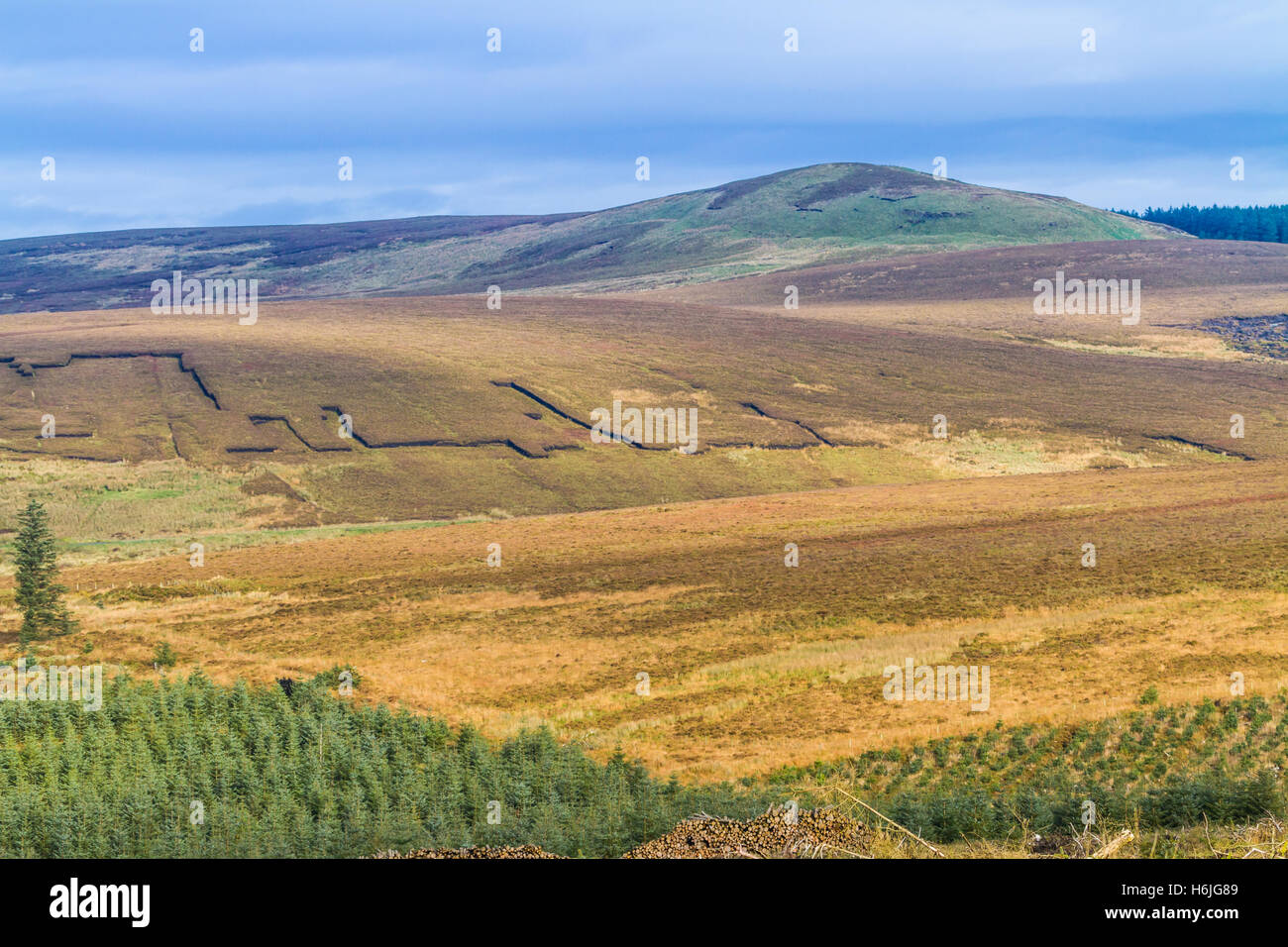 Turf banche sulla montagna Croaghan Co Antrim N Irlanda Foto Stock