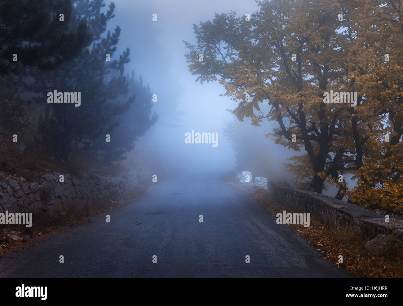 Mistica foresta autunnale con il trasporto su strada in caso di nebbia. Caduta misty boschi. Paesaggio colorato con alberi, strada rurale, arancione e rosso fogliame Foto Stock