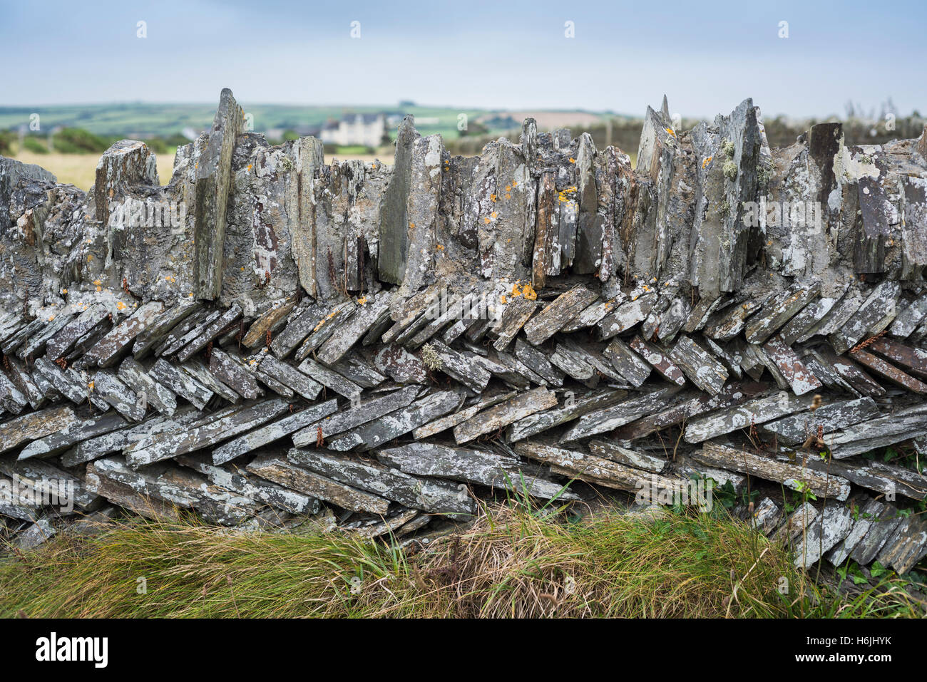 Asciugare la parete in pietra di lastre di ardesia sulla costa sud-ovest il percorso nei pressi di una vecchia cava tra Trebarwith beach e Tintagel, costa ovest di Cornwall, Regno Unito Foto Stock
