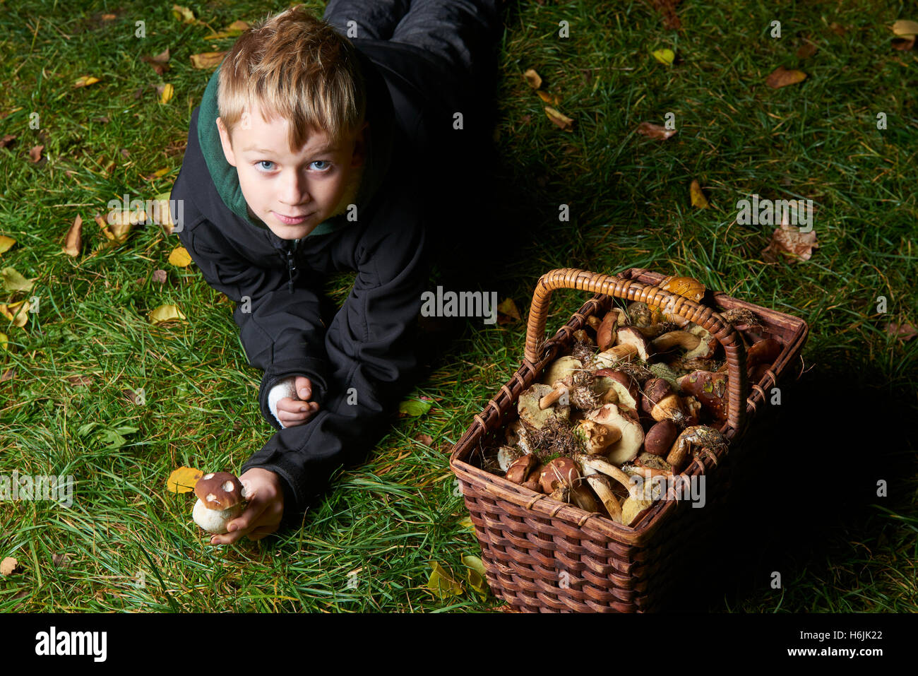 Bambino ragazzo raccogliere funghi nella foresta verde, bambini attività all'aperto Foto Stock