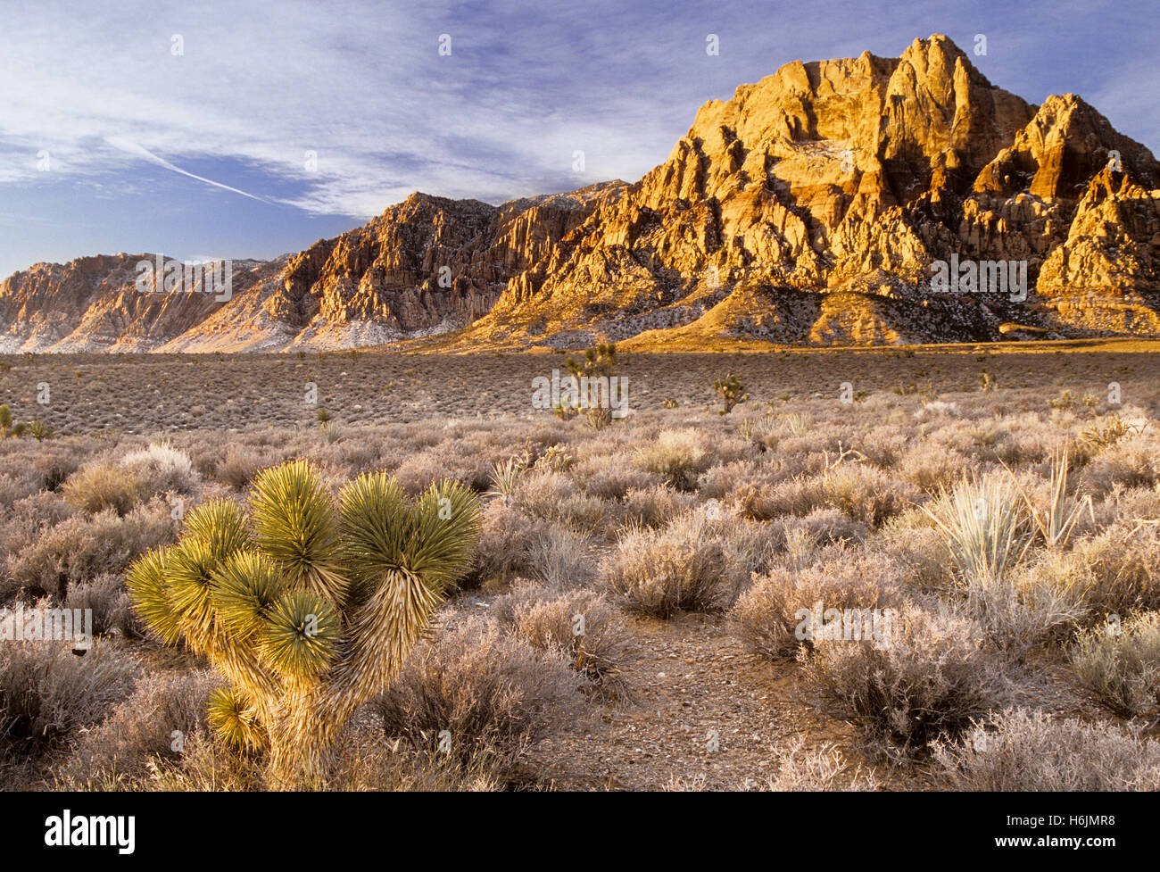 Spring Mountain Range, Nevada Foto Stock