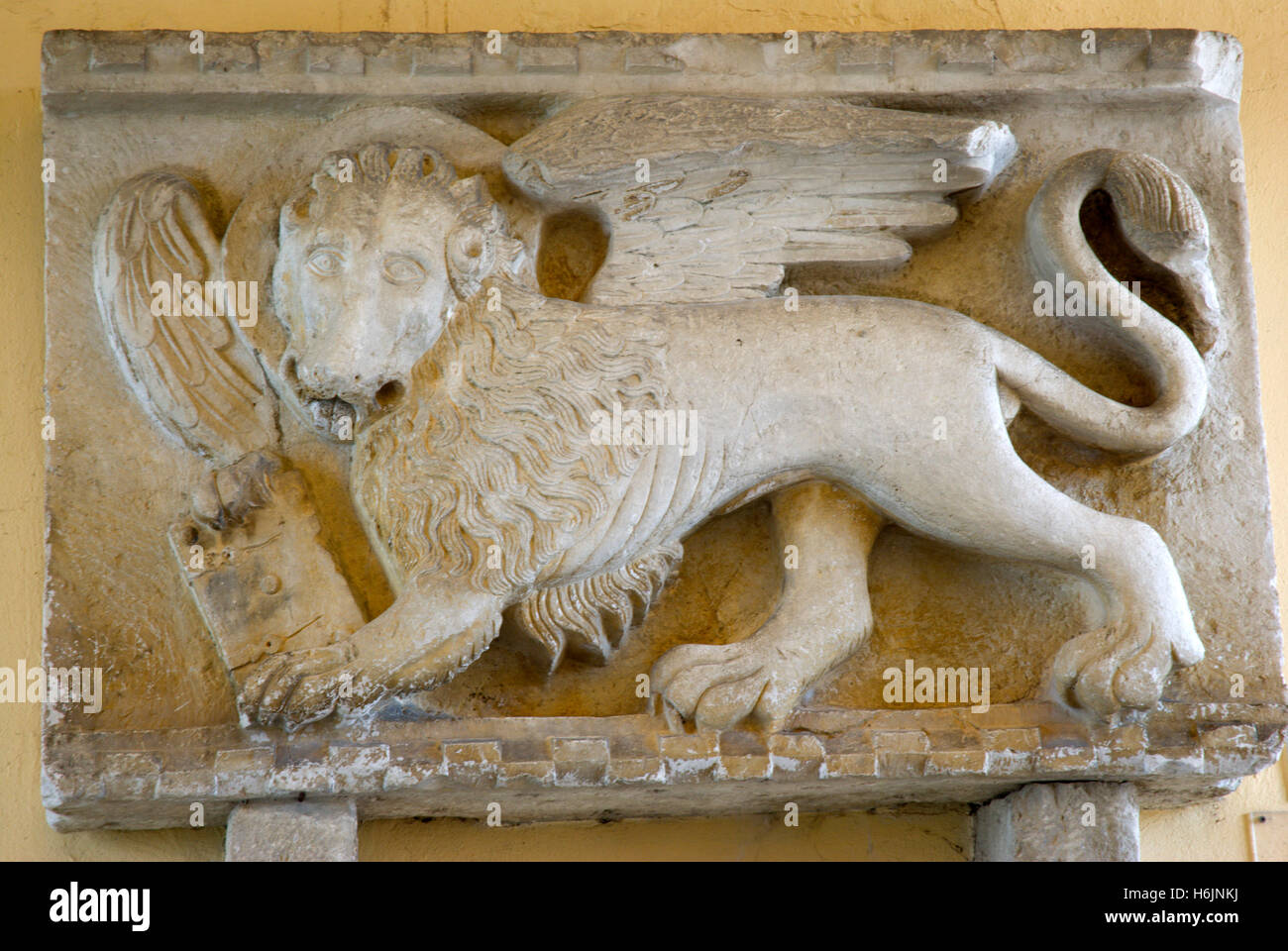 San Marco lion, rilievo, villaggio di montagna di Montona, Mirna Valley, Istria, Croazia, Europa Foto Stock