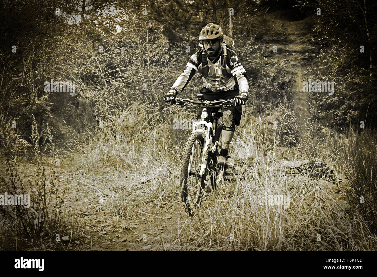 In discesa il sentiero mtb, Lállenger Bierg, Belval, Lussemburgo. Foto Stock