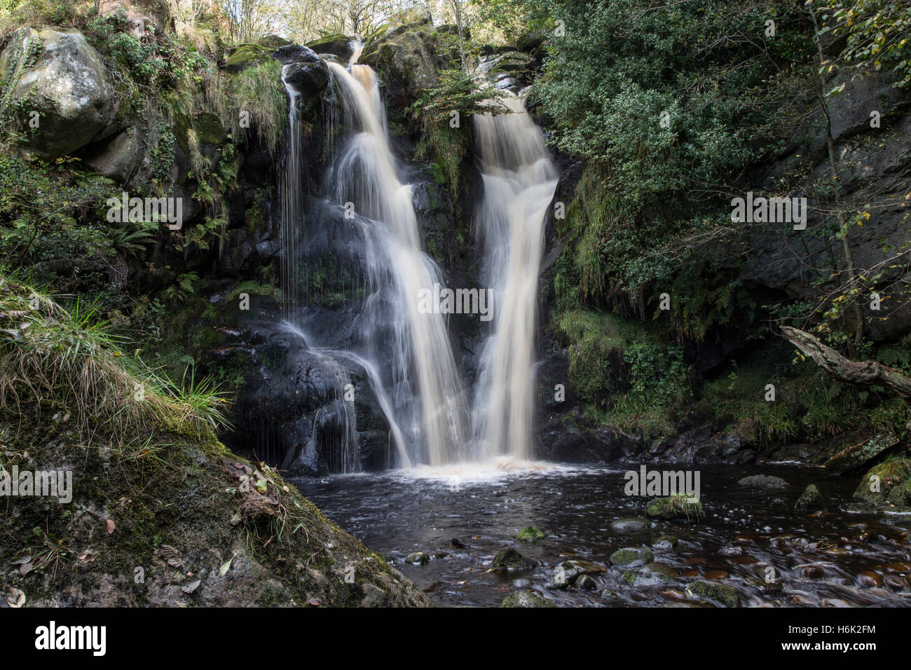 Posforth Gill cascata, Yorkshire Dales Foto Stock