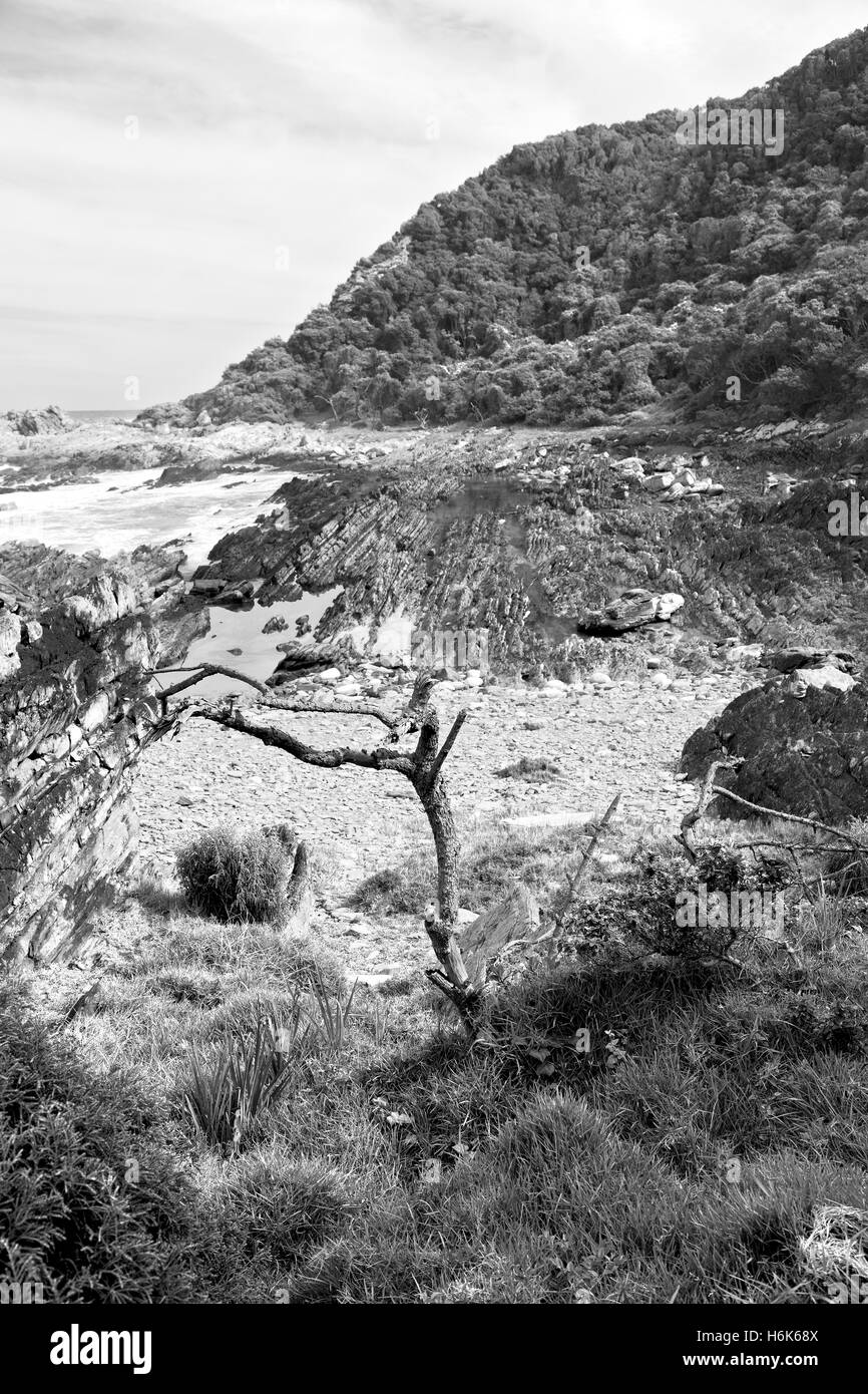 La sfocatura in Sud Africa sky oceano riserva tsitsikamma natura e rocce Foto Stock