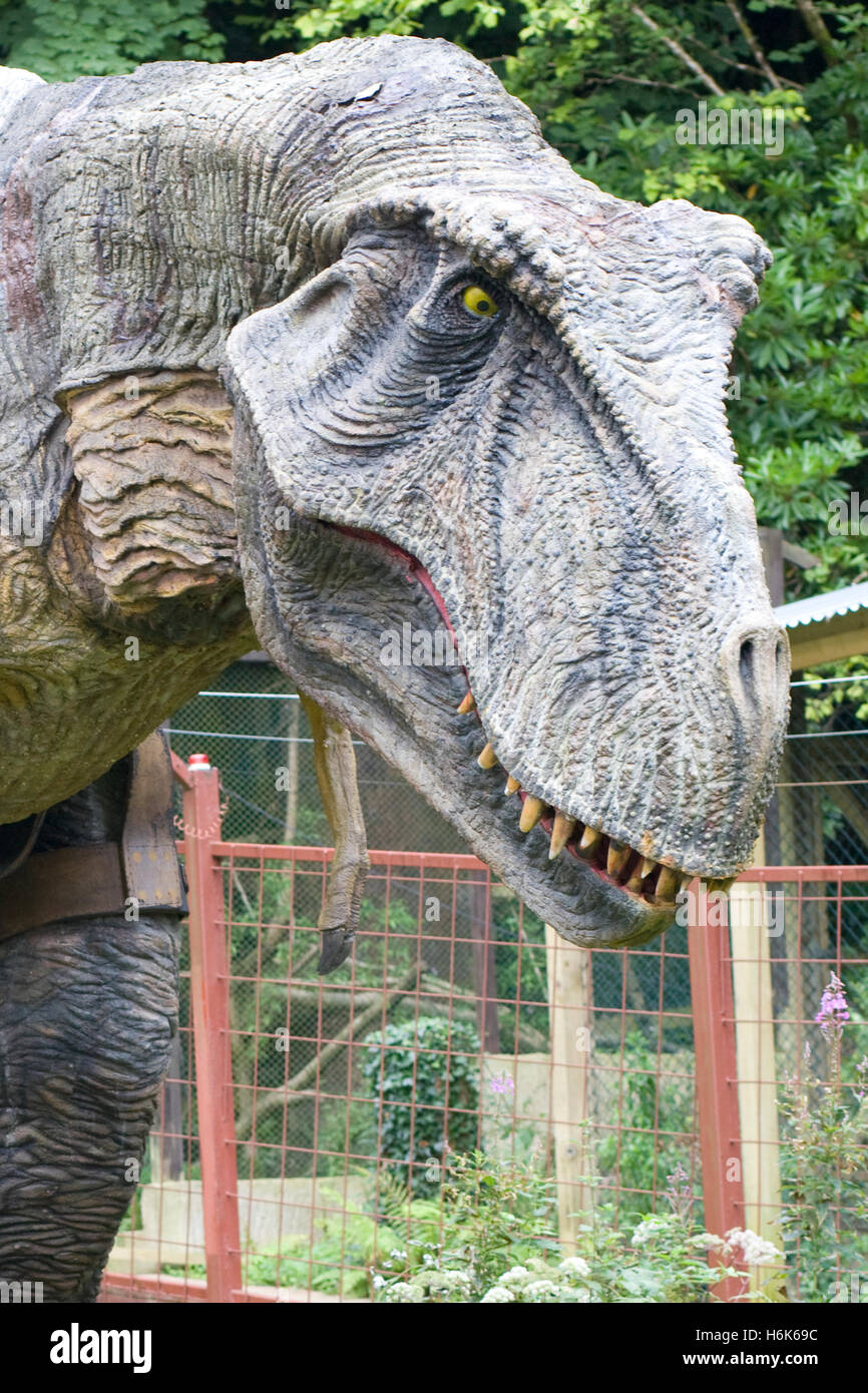 T prigioniera dinosauro Rex Foto Stock