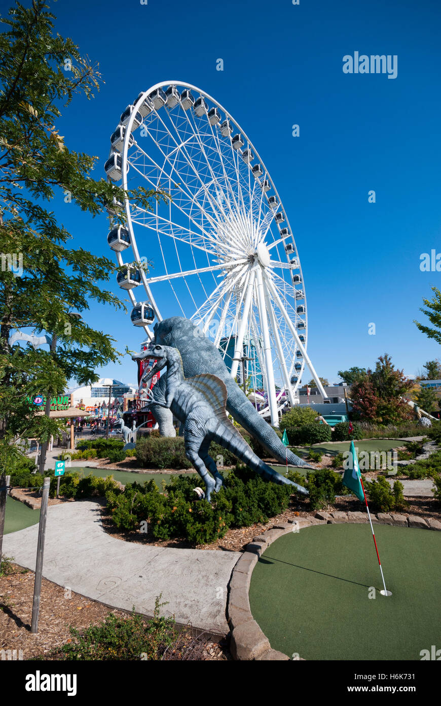La Skywheel visto accanto a Dinosaur Adventure Golf a 70.000 piedi quadri a tema Dinosaur mini golf attrazione in Niagara Falls Canada Foto Stock
