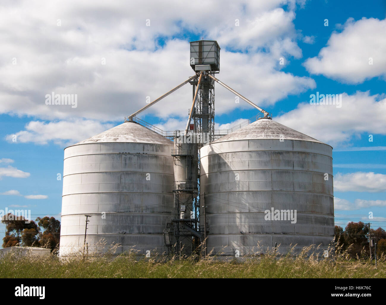 Silos per il grano a Nhill, western Victoria Foto Stock