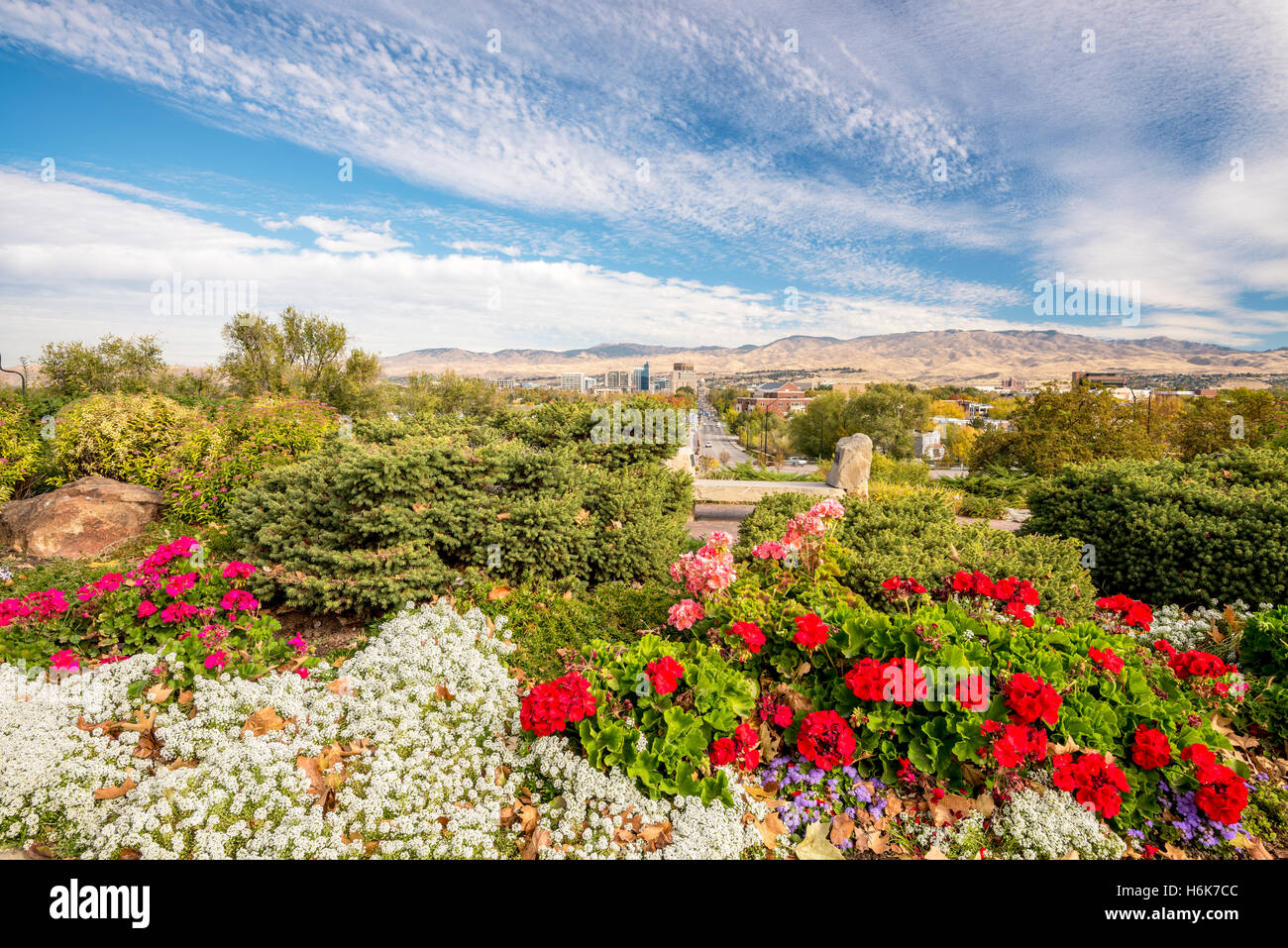 Boise City Park fiori e sullo skyline Foto Stock