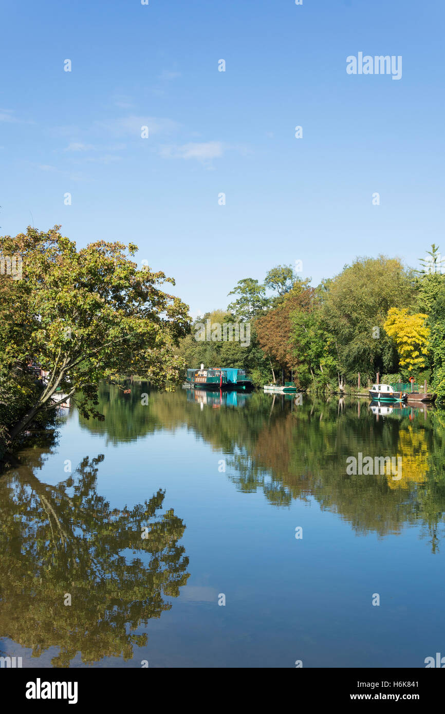La mattina presto riflessioni sul Fiume Tamigi, Runnymede, Surrey, England, Regno Unito Foto Stock