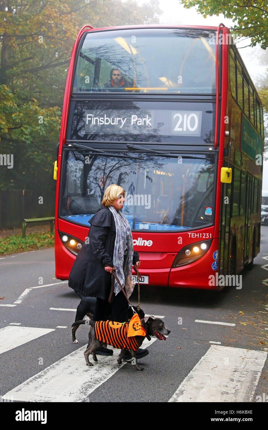 Londra, Regno Unito. Il 30 ottobre 2016. Cani vestito in Halloween abiti fantasiosi costumi per i tutti i cani tema Halloween Dog Walk per raccogliere fondi per la carità che case e ri-case cani a Londra. Credito: Paul Brown/Alamy Live News Foto Stock