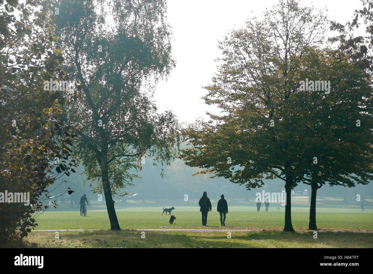 Cane a camminare su Wandsworth Common Foto Stock