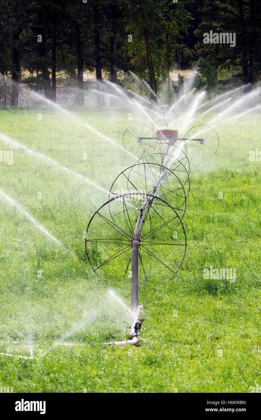 Irrigazione agricola ruota sprinkler di linea Foto Stock