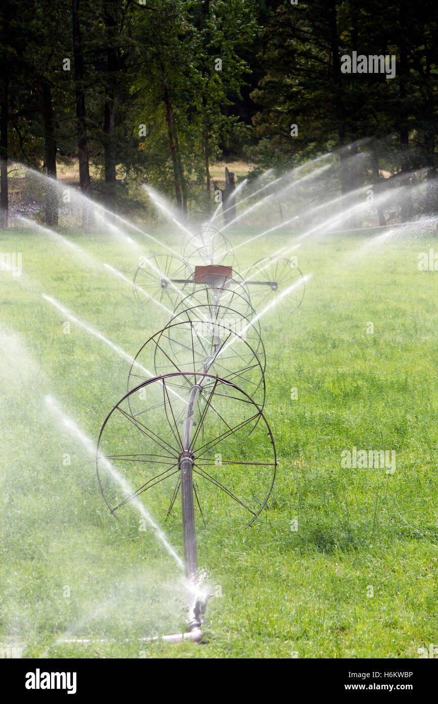 Irrigazione agricola ruota sprinkler di linea Foto Stock