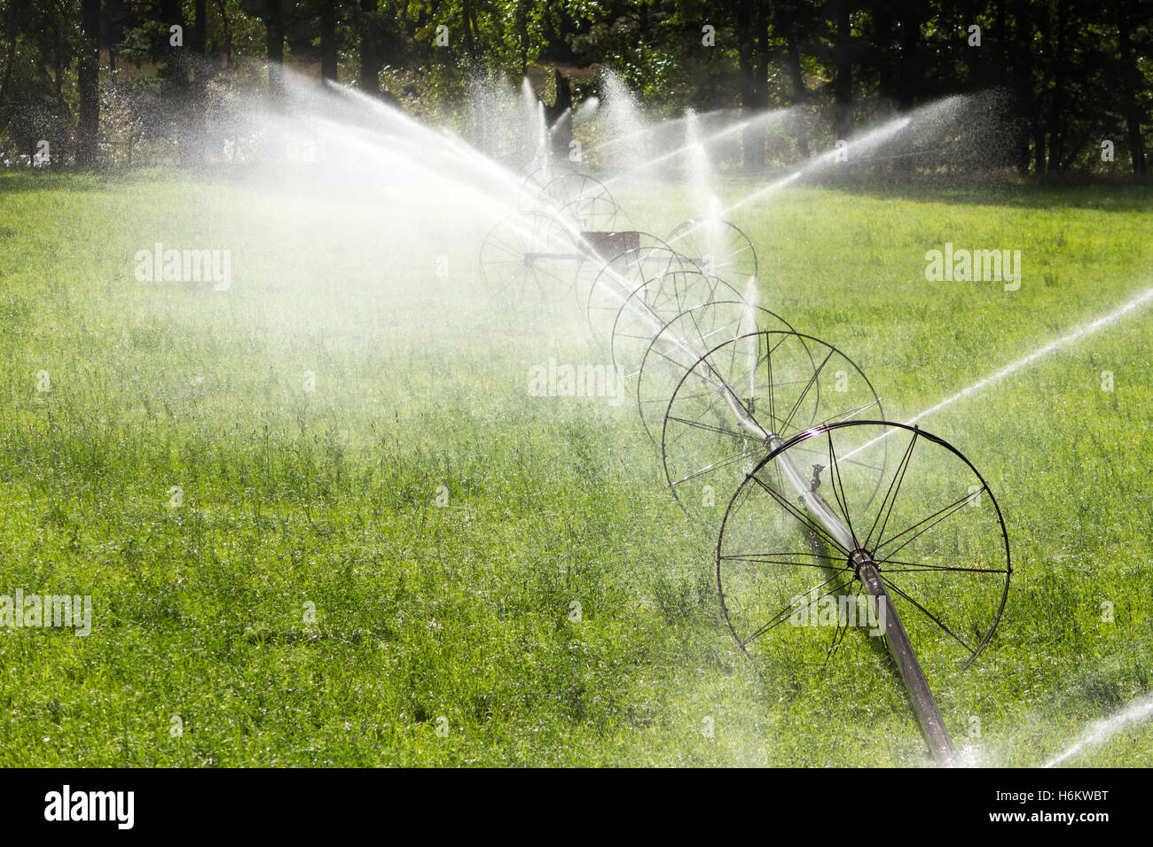 Irrigazione agricola ruota sprinkler di linea Foto Stock