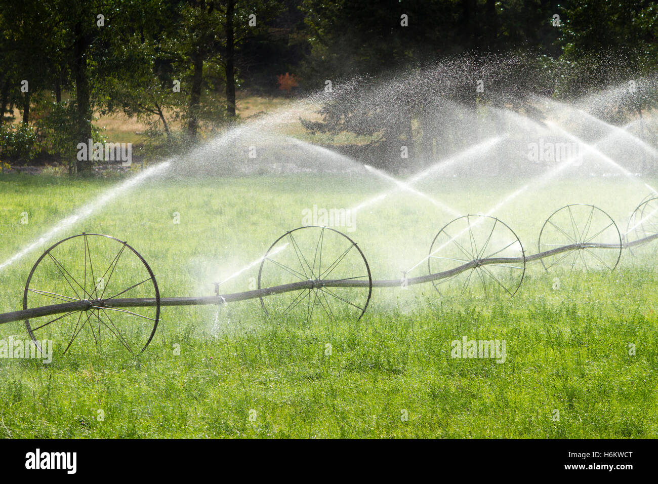 Irrigazione agricola ruota sprinkler di linea Foto Stock