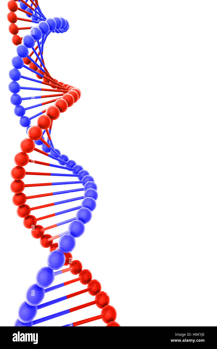 Elica di DNA su sfondo bianco con Copyspace Foto Stock