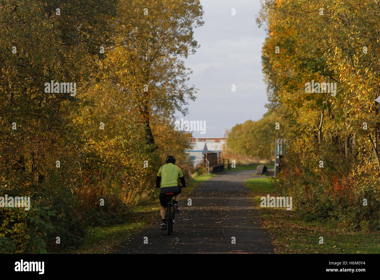 Ciclista sulla bici canale di Forth e Clyde, Glasgow alberi autunnali Foto Stock