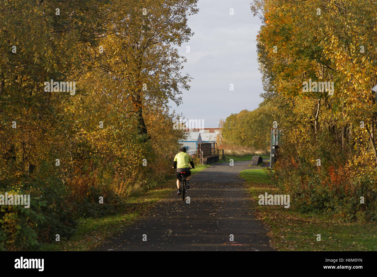 Ciclista sulla bici canale di Forth e Clyde, Glasgow alberi autunnali Foto Stock