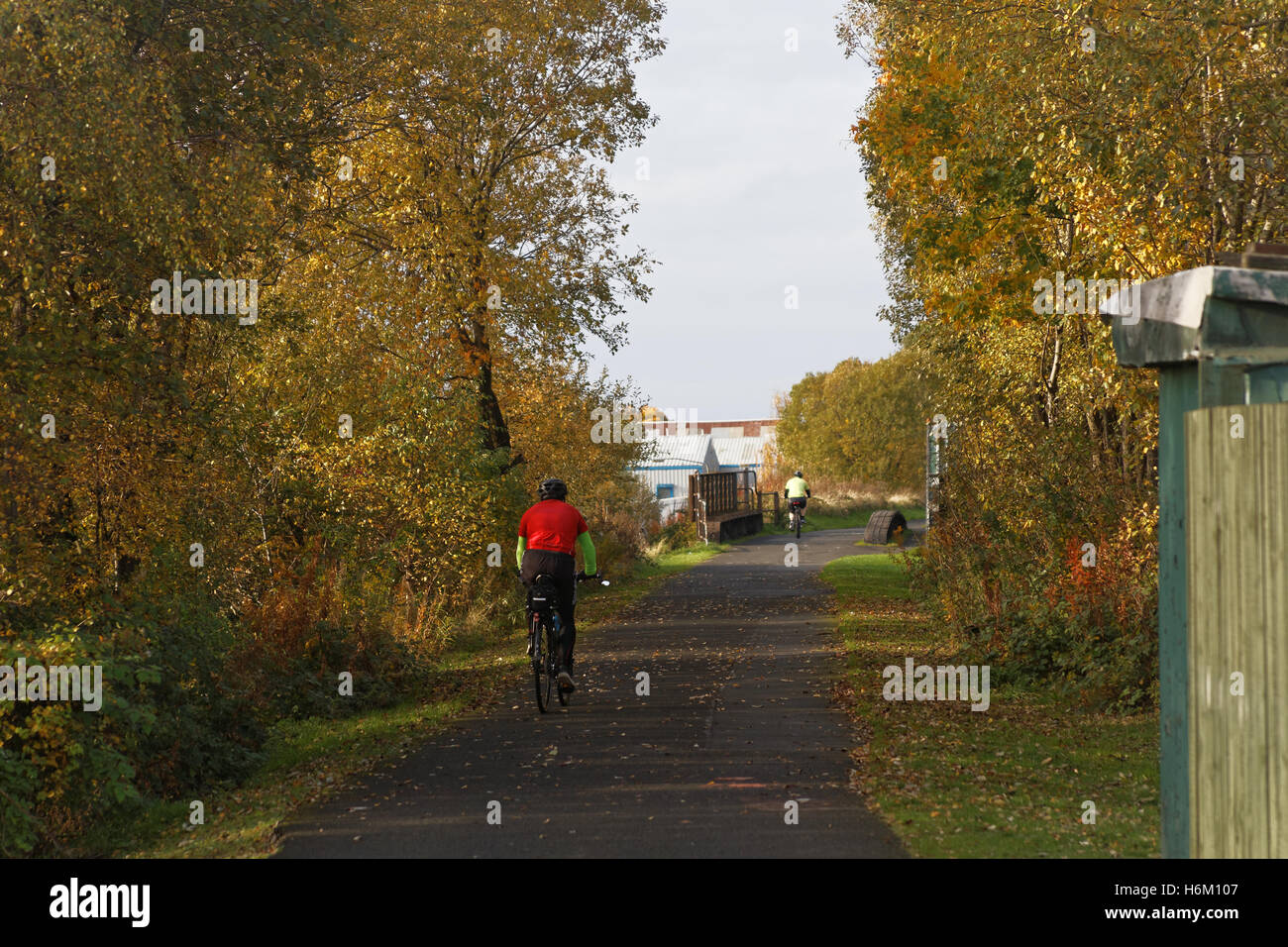 Ciclista sulla bici canale di Forth e Clyde, Glasgow alberi autunnali Foto Stock