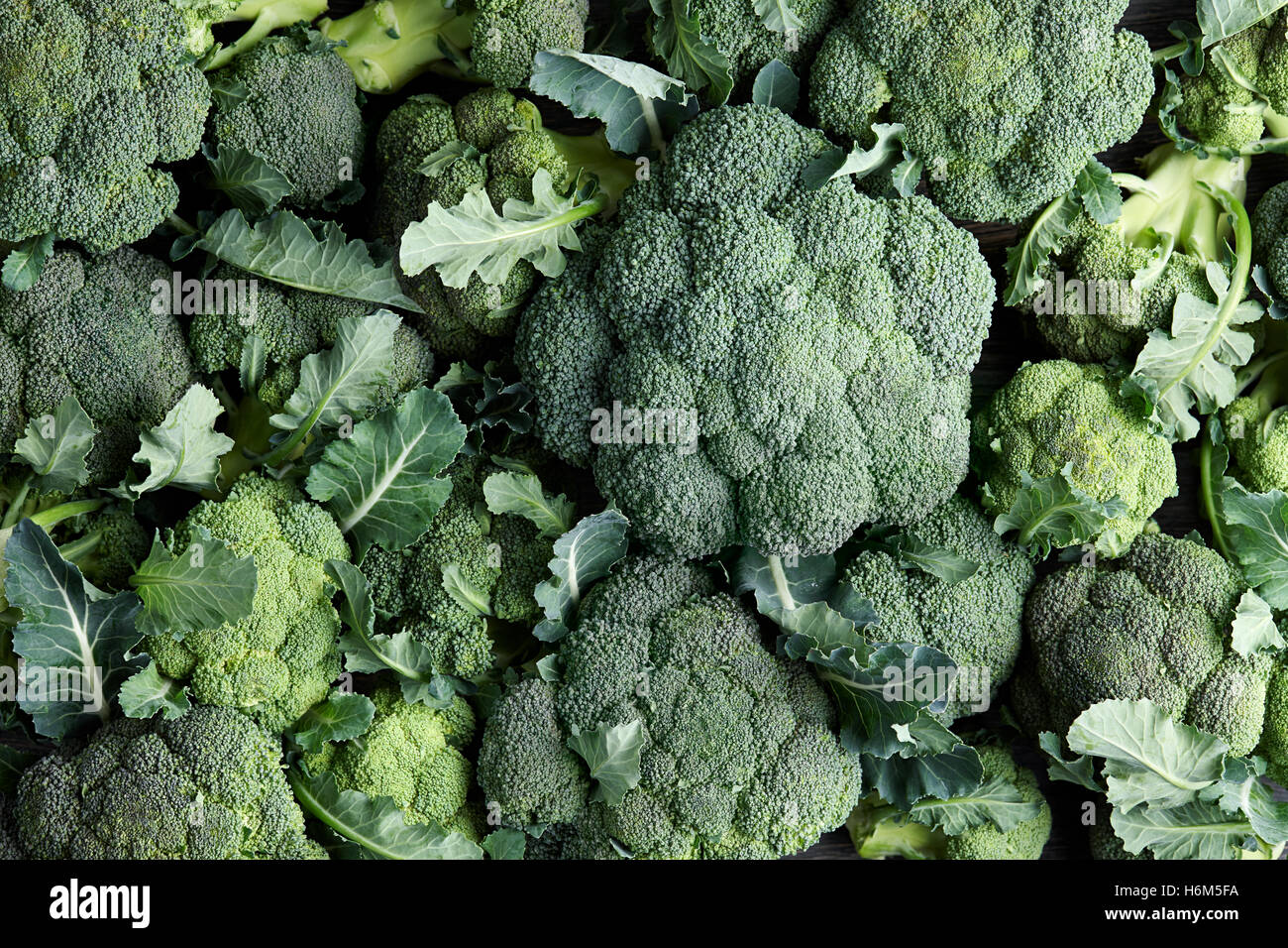 Broccoli freschi sfondo Foto Stock