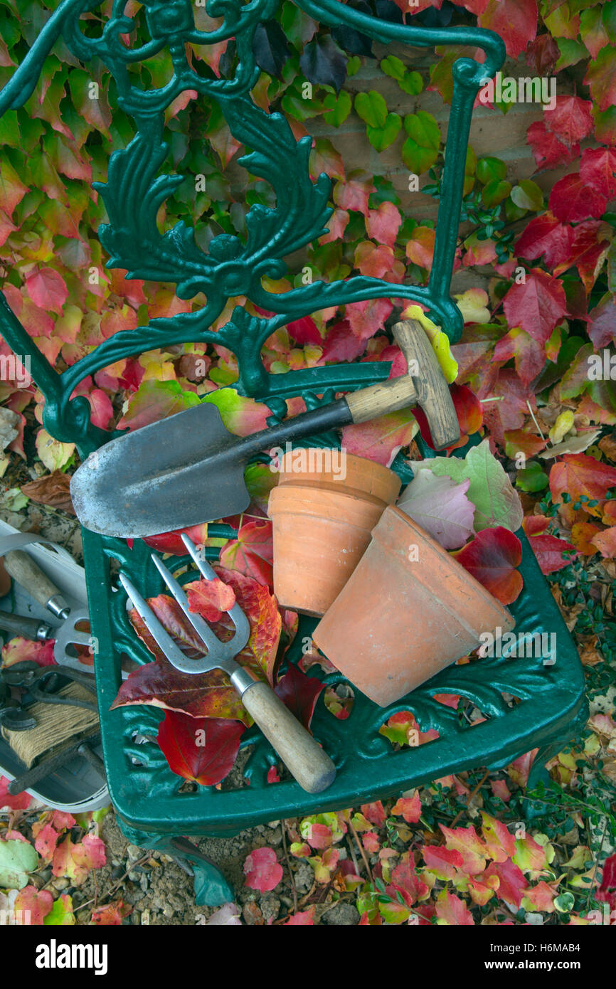 Giardino utensili a mano e terracotta vasi da fiori con caduta foglie di Virginia superriduttore Parthenocissus quinquefolia Foto Stock