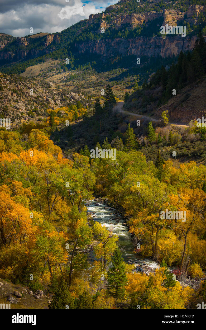 Tensleep Creek e dieci sonno Canyon Wyoming paesaggio di caduta Foto Stock