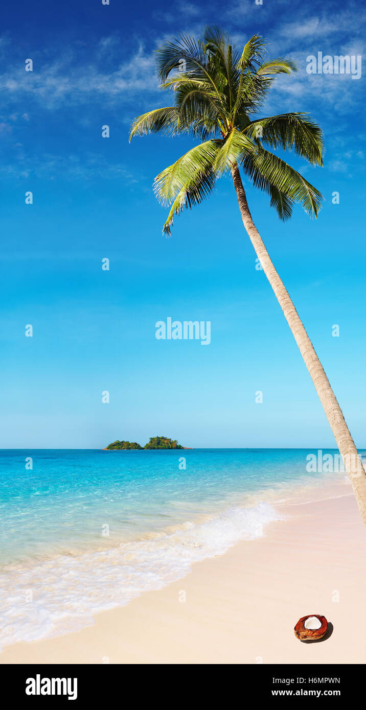 Spiaggia tropicale con palme e acque azzurre Foto Stock