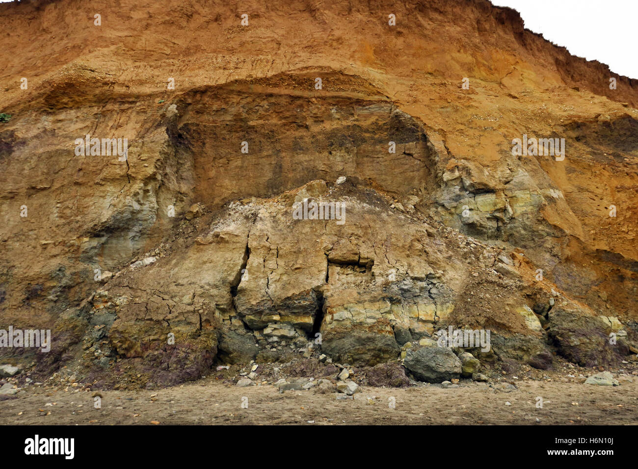 Scogliera di arenaria piegare al punto di Hannover, Isle of Wight rivelando fossili di dinosauro (Iguanodon) dal periodo Cretacious 125milioni di anni fa Foto Stock