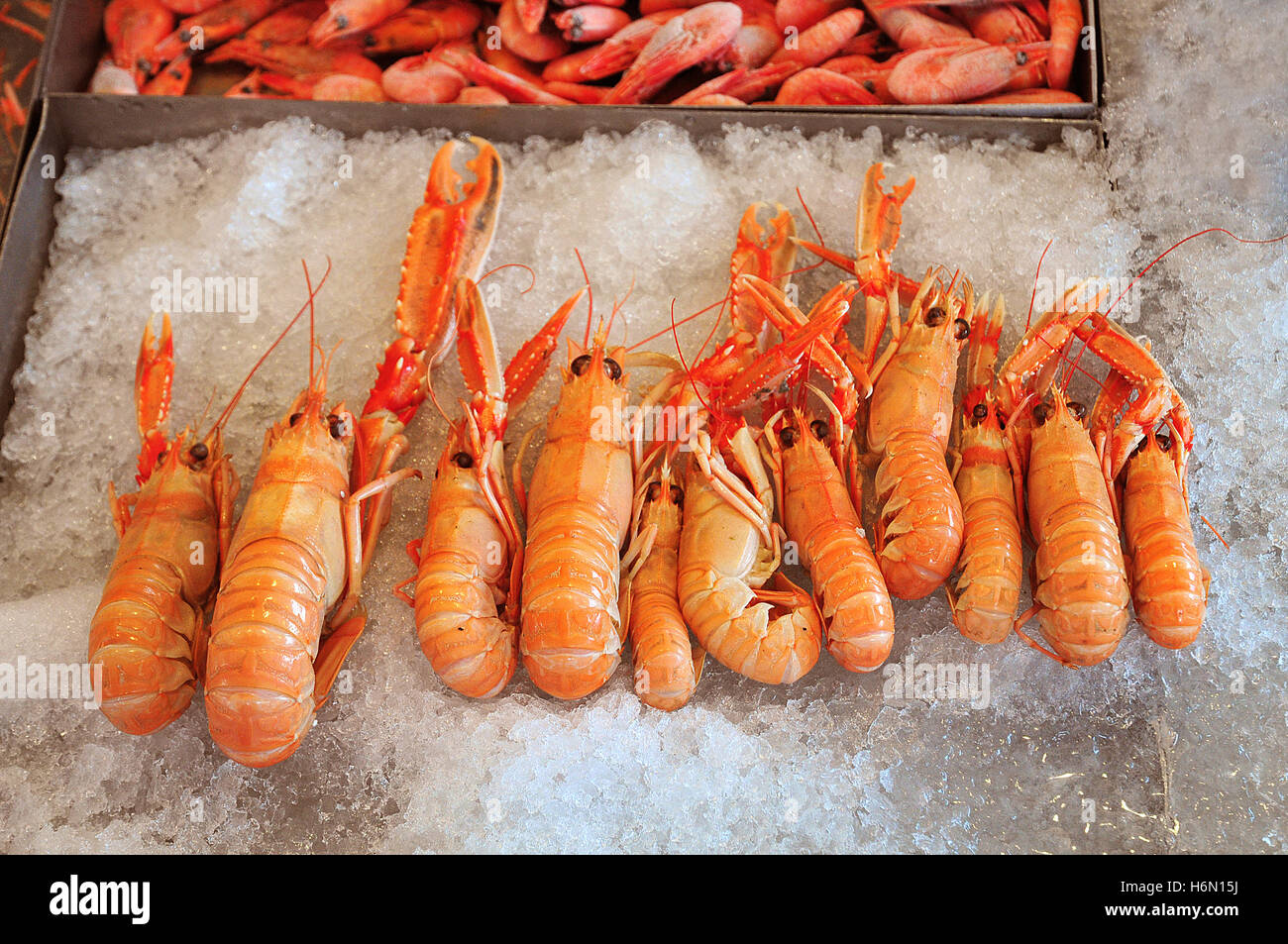 alimentare europea Foto Stock