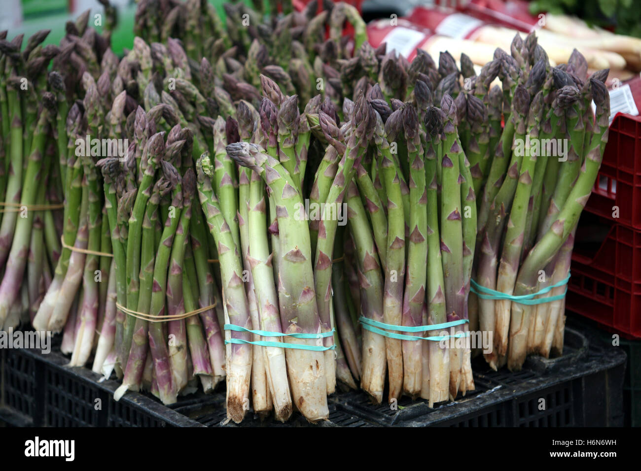 asparagi verdi Foto Stock