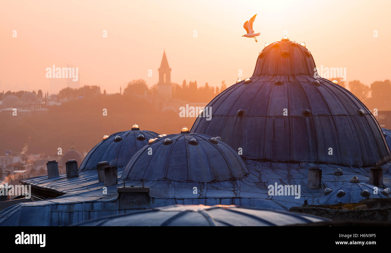 Istanbul la capitale della Turchia orientale città turistica. Foto Stock