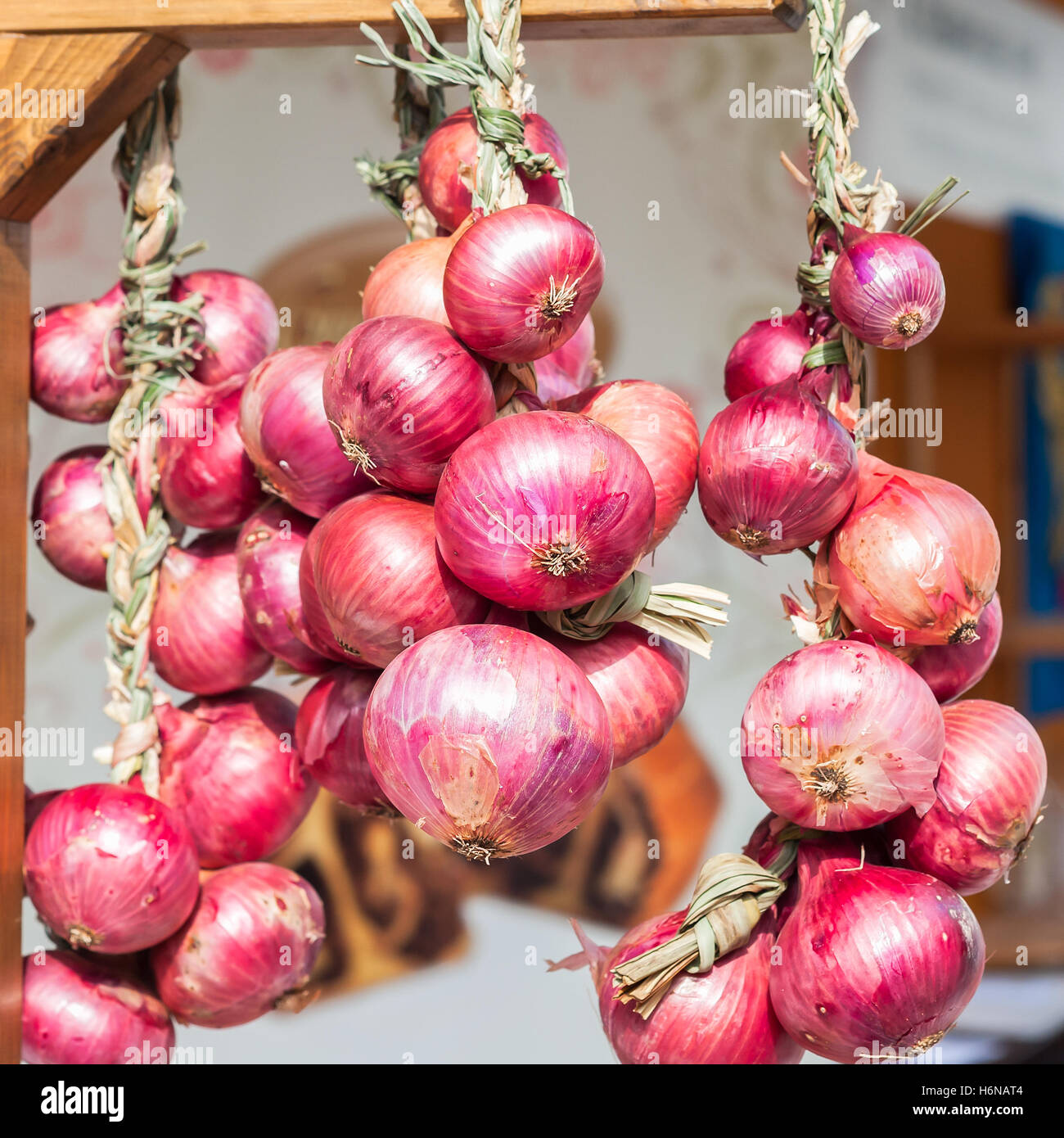 Cipolla rossa trecce venduto in Italia nel mercato del contadino. Foto Stock