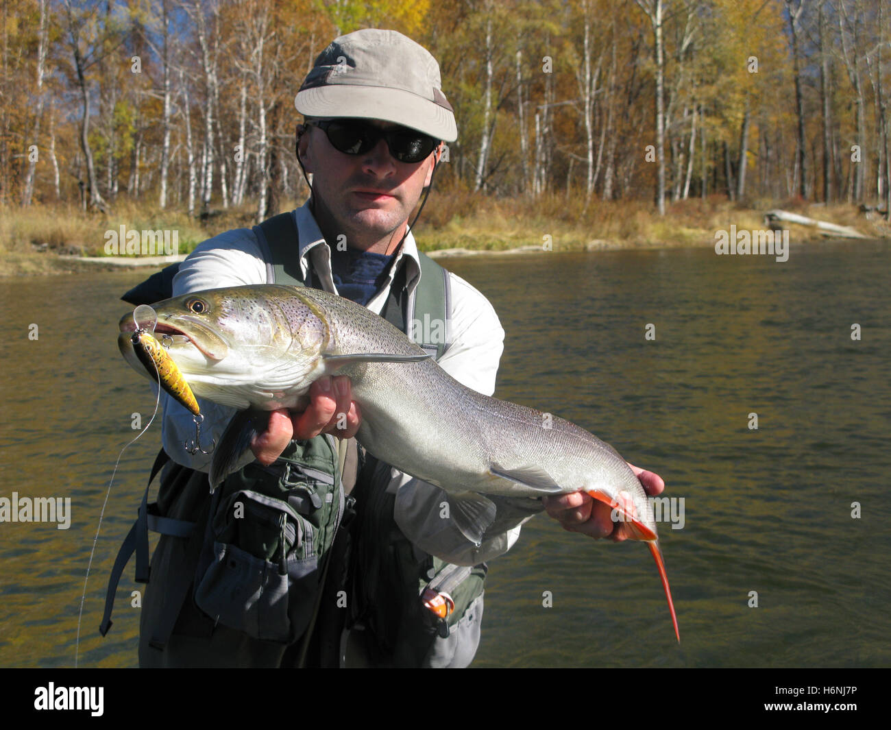 Pesci crostacei Foto Stock