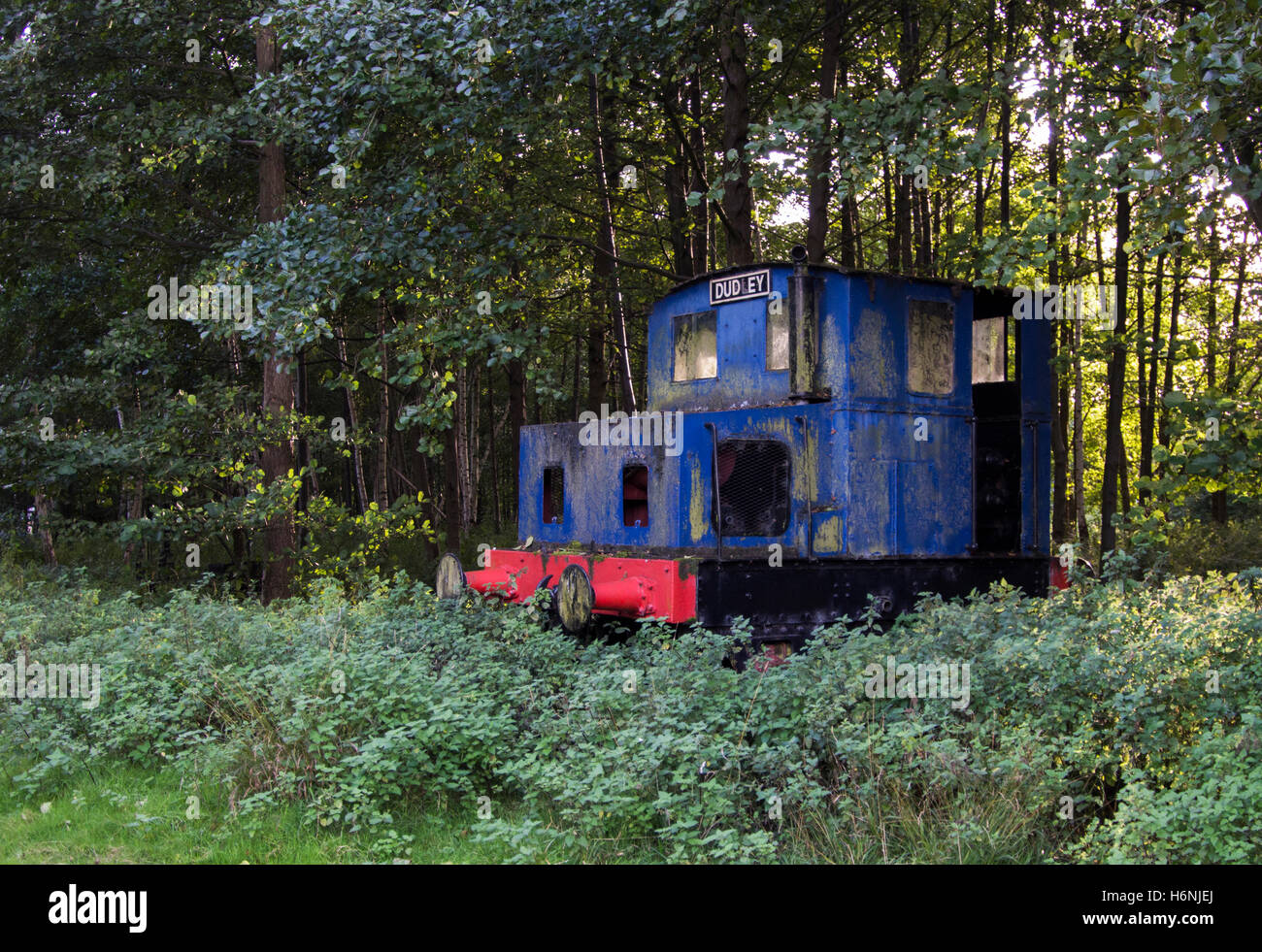 Il vecchio treno motore abbandonati nel bosco Foto Stock