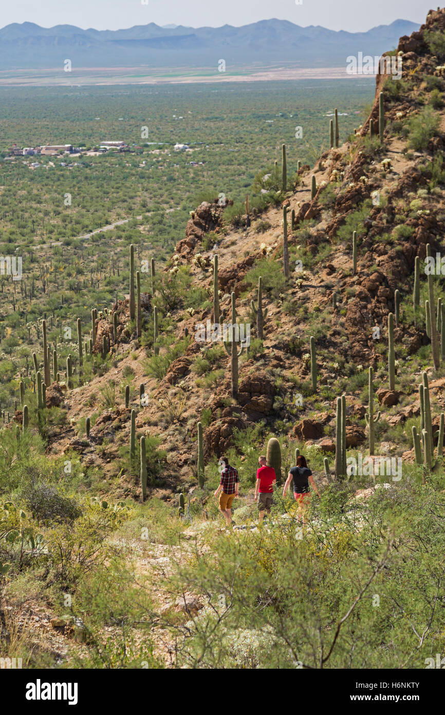 Tucson, Arizona - escursionisti in Tucson Mountain Park. Foto Stock