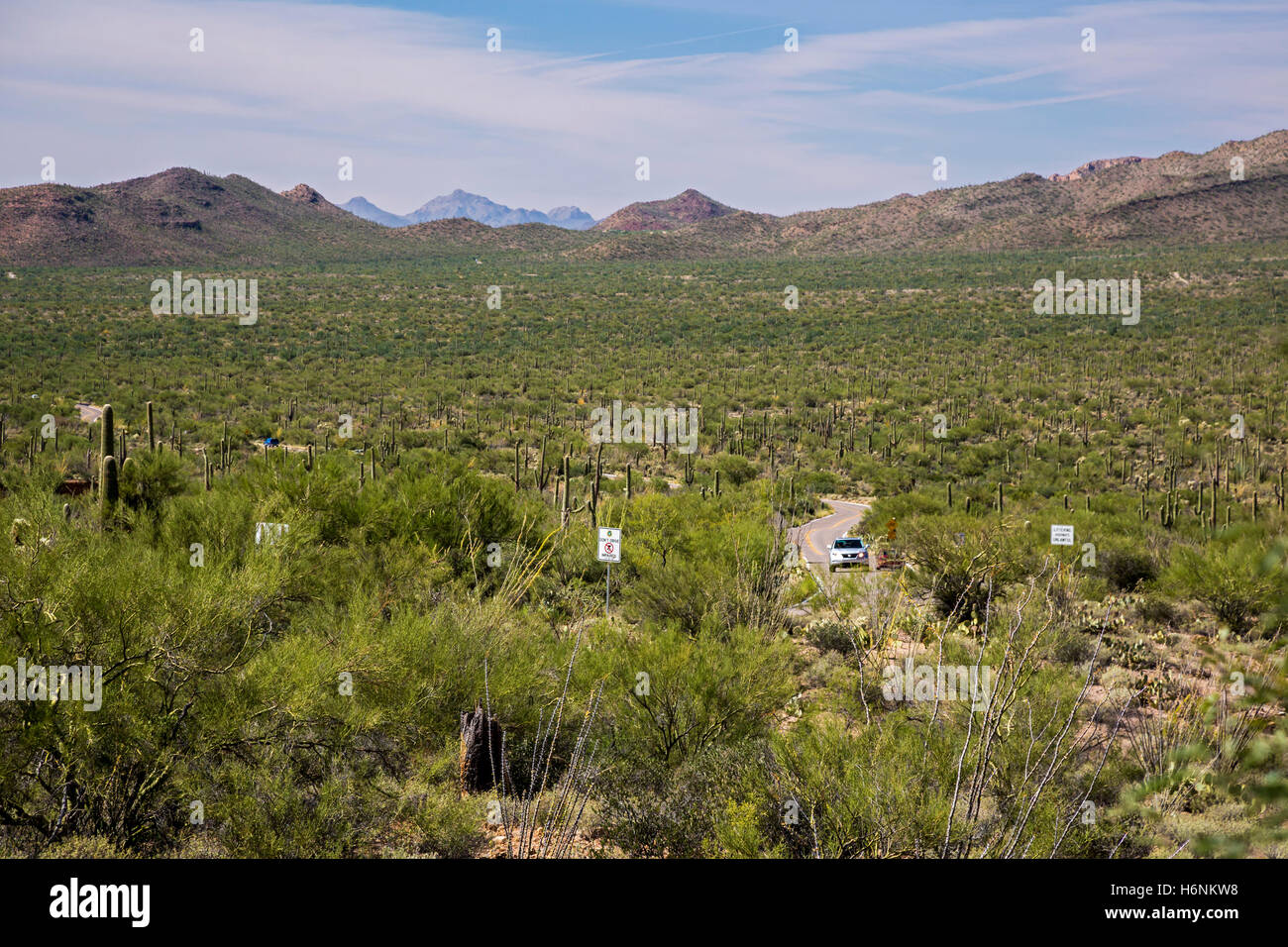 Tucson, Arizona - Tucson Mountain Park. Foto Stock