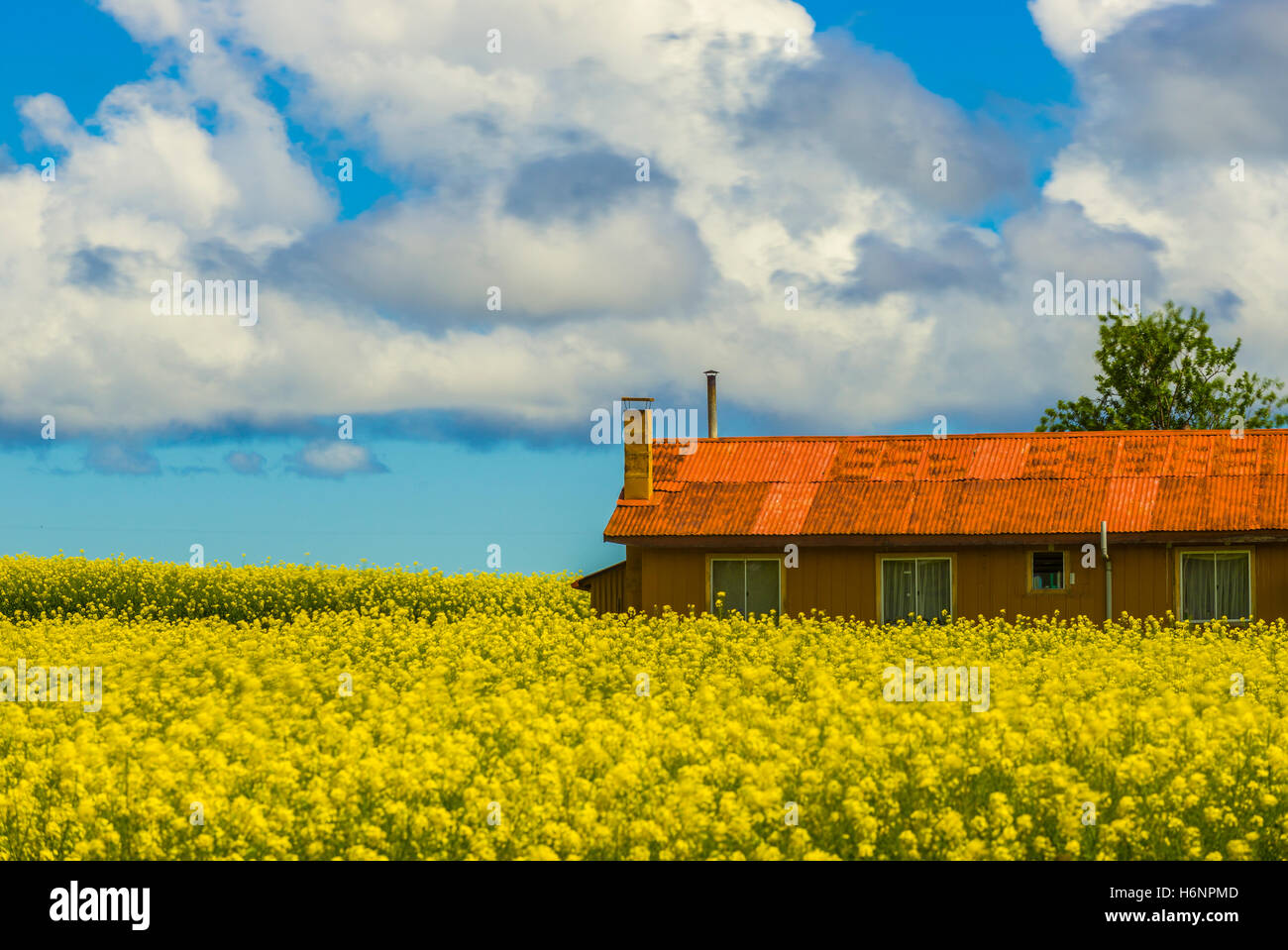 Plantation House e par Foto Stock