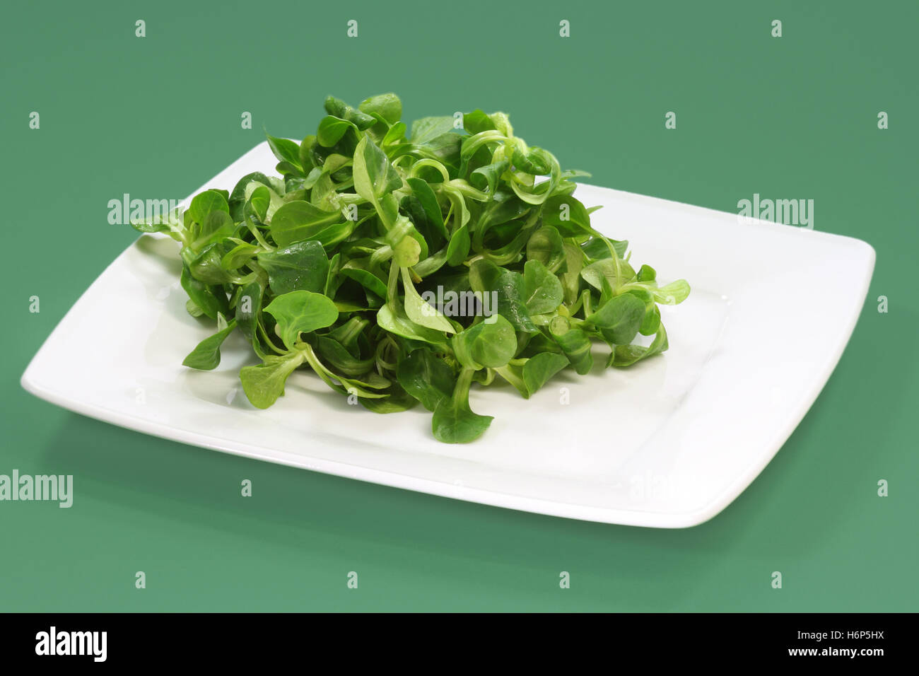 Valeriana Foto Stock