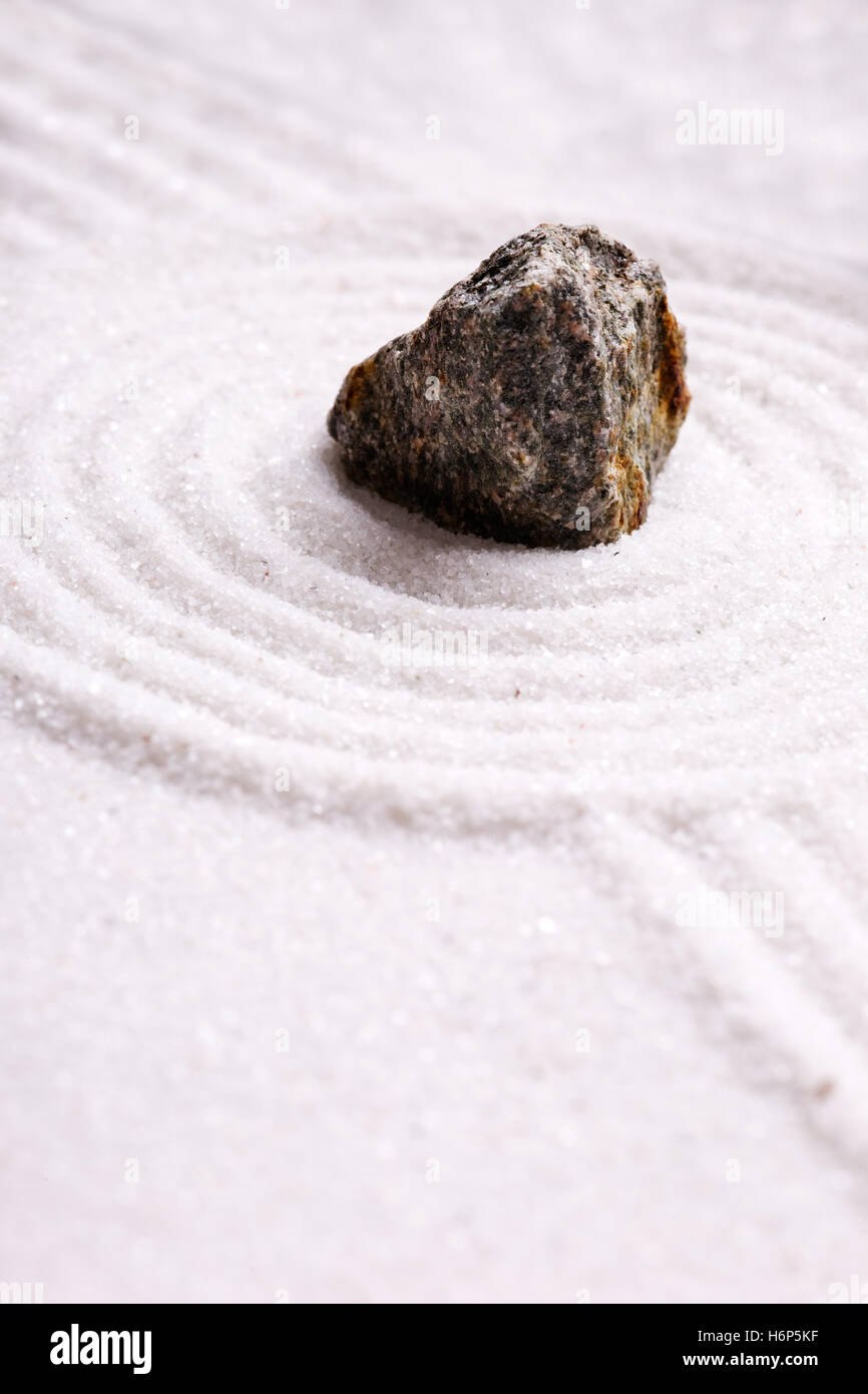 Dettaglio la vita esiste esistenza vivono arte morte pietra giardino spiaggia mare spiaggia mare rock fila pace pacifica cool Foto Stock