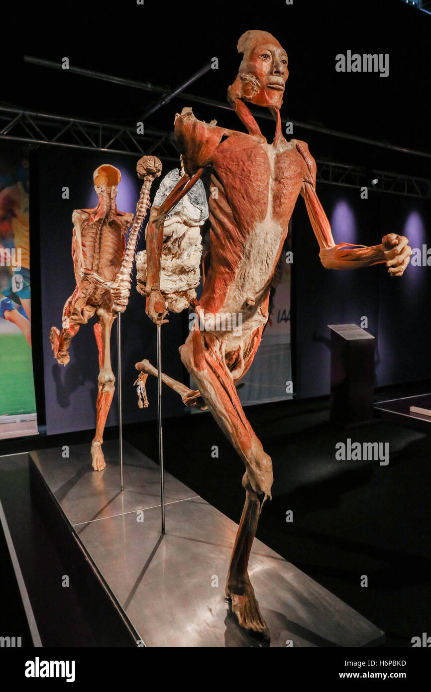 Real bodies the exhibition immagini e fotografie stock ad alta risoluzione  - Alamy