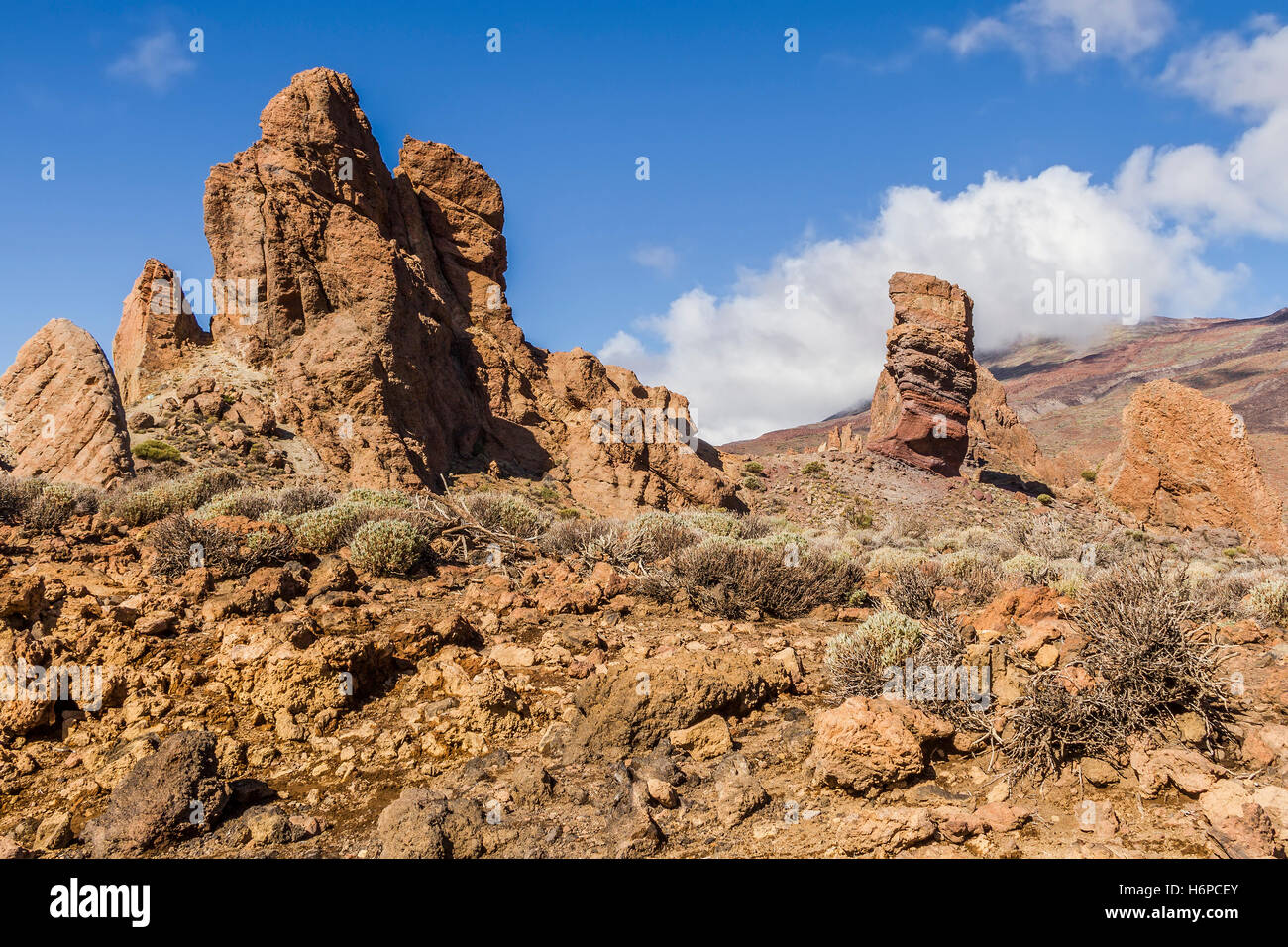 Montare il Parco Nazionale Teide Tenerife Isole Canarie Foto Stock