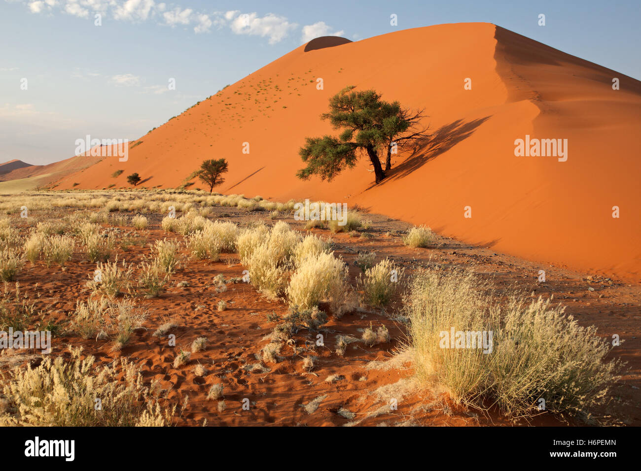 Deserti africani immagini e fotografie stock ad alta risoluzione - Alamy