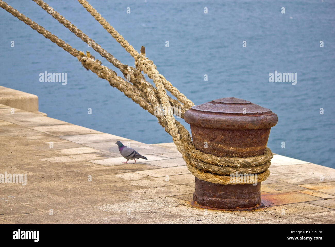 Dettagli blu closeup uccello porto marittimo di pavimentazione di ferro dock recipiente in acciaio metallo arrugginito all'aperto costa la connettività di connessione Foto Stock