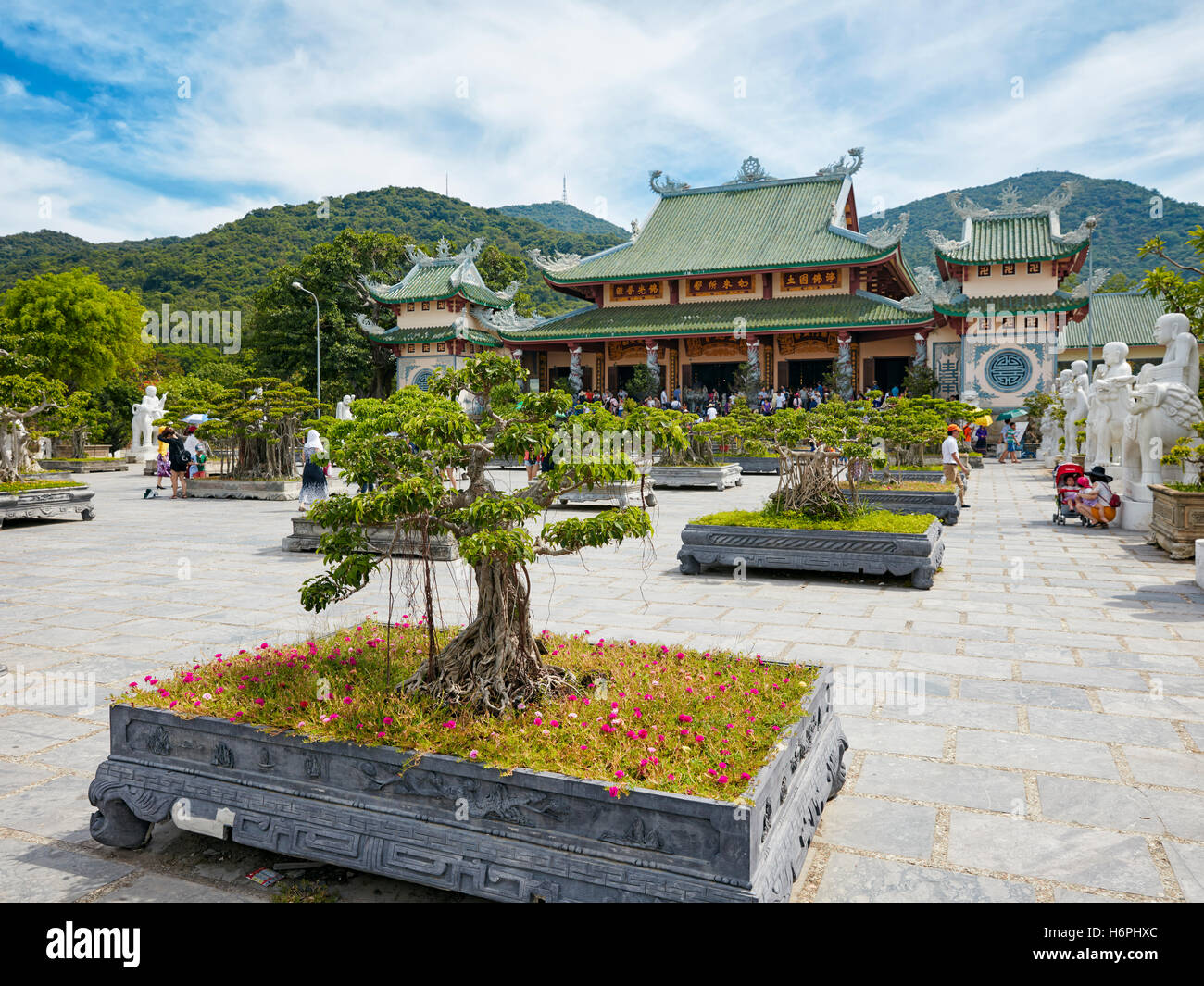 Giardino Bonsai a Linh Ung Pagoda, Da Nang, Vietnam. Foto Stock