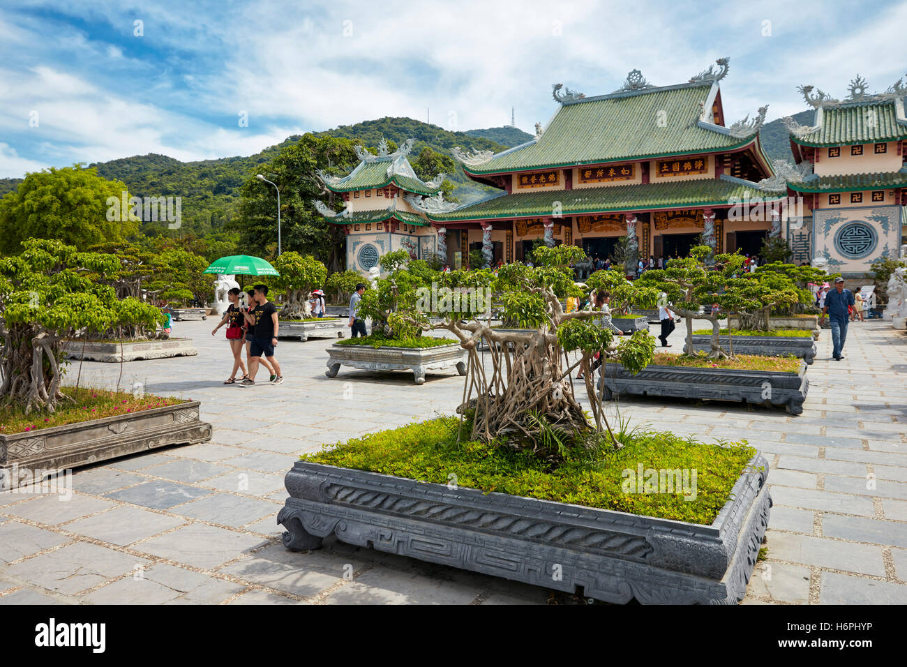 Giardino Bonsai a Linh Ung Pagoda, Da Nang, Vietnam. Foto Stock