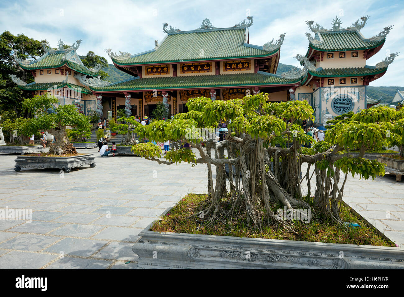 Giardino Bonsai a Linh Ung Pagoda, Da Nang, Vietnam. Foto Stock