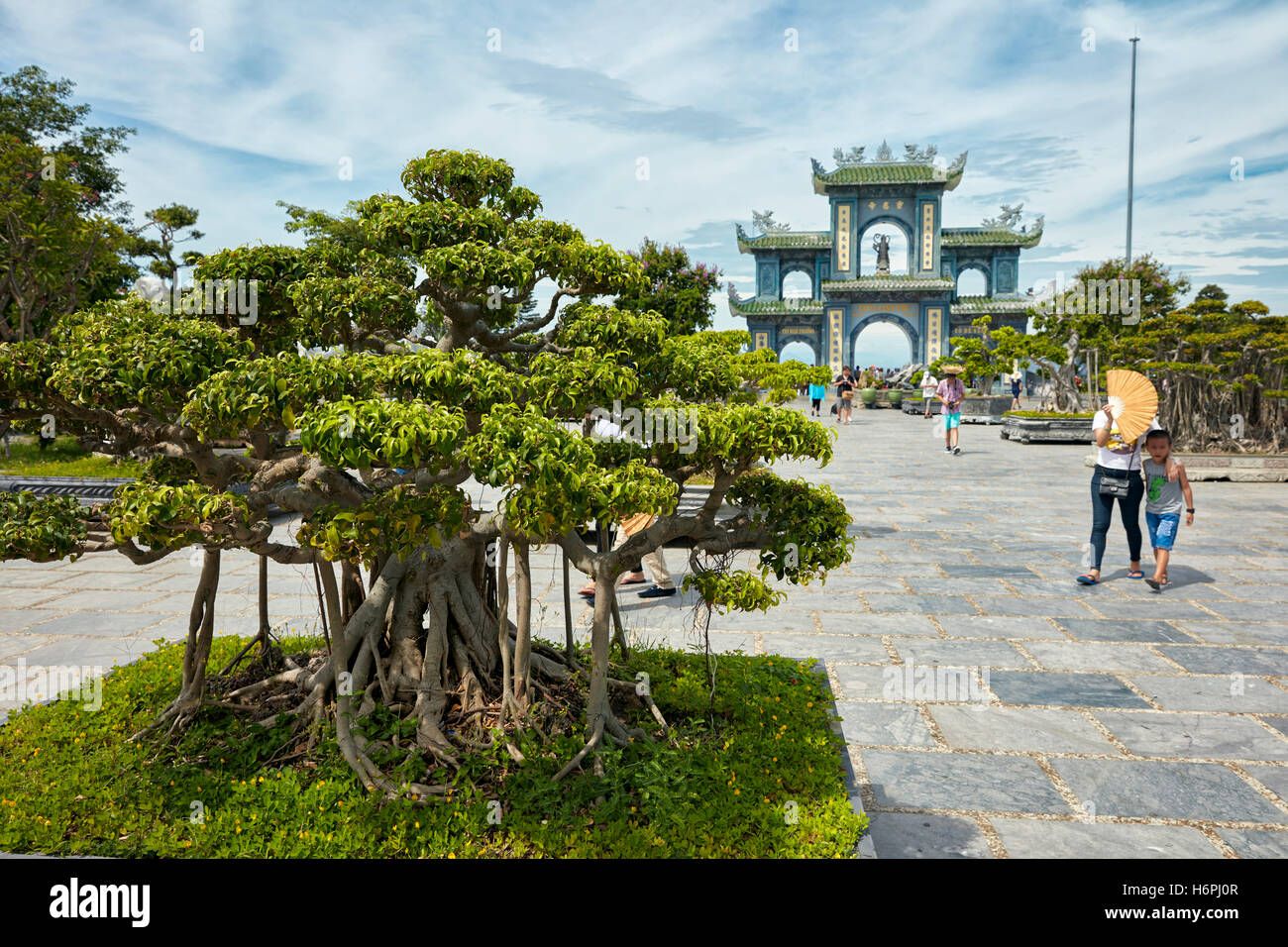 Giardino Bonsai a Linh Ung Pagoda, Da Nang, Vietnam. Foto Stock