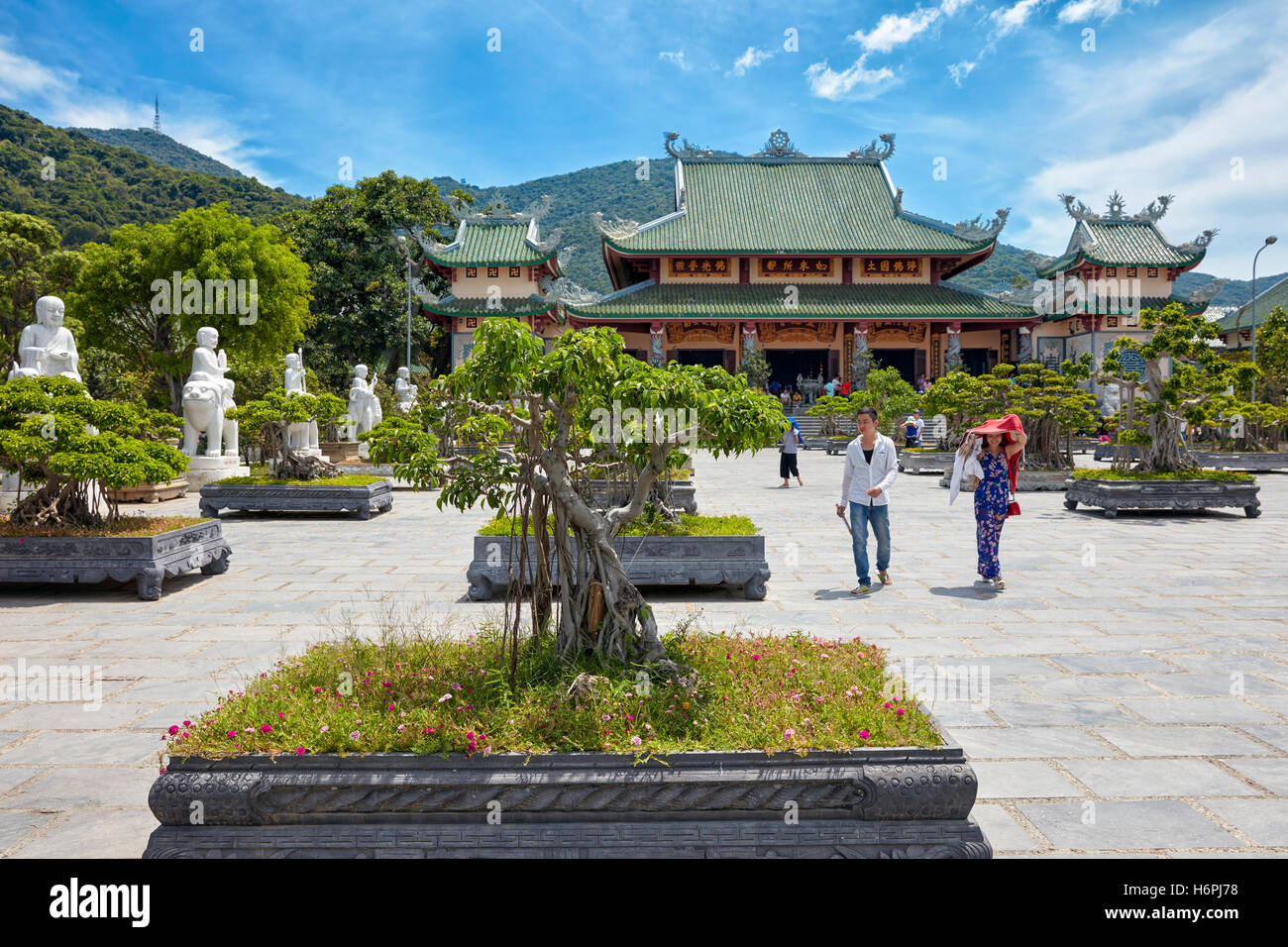 Giardino Bonsai a Linh Ung Pagoda, Da Nang, Vietnam. Foto Stock